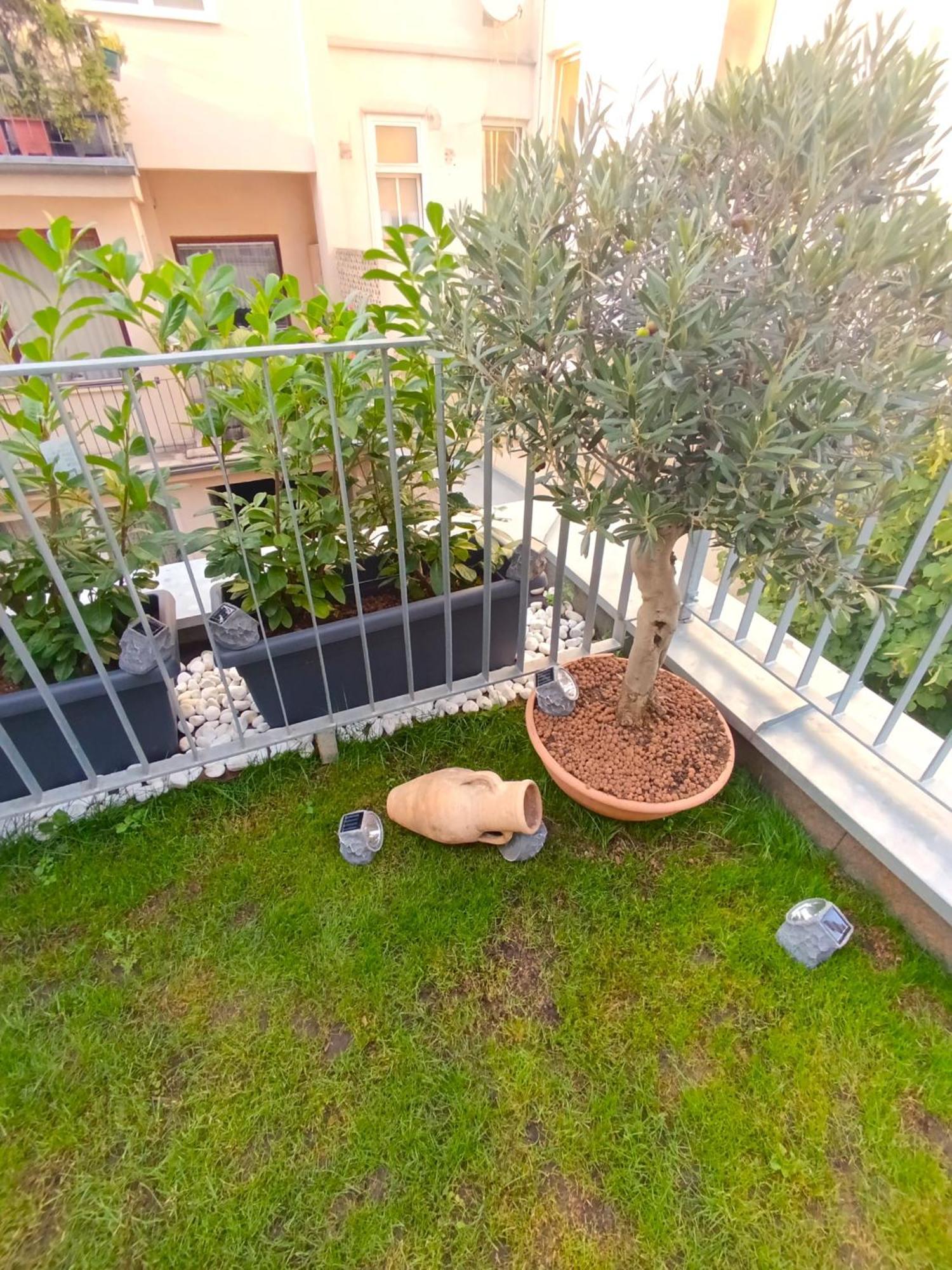 فيينا Bossa City Design Apartments المظهر الخارجي الصورة